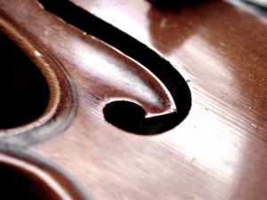 Violin 12